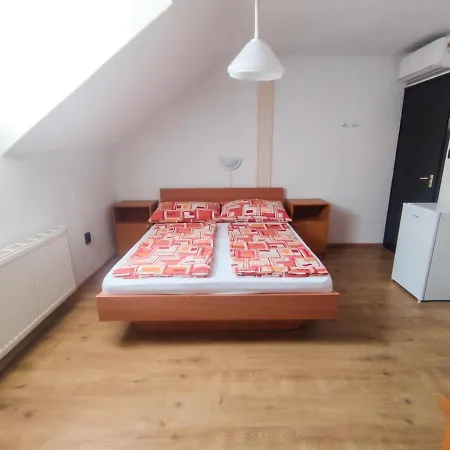 Viktoria Panzio Zamardi