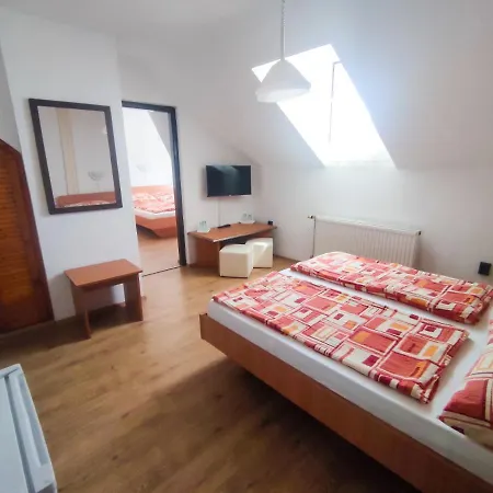 Guest house Viktoria Panzio 3*