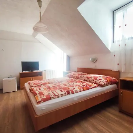 Guest house Viktoria Panzio 3*