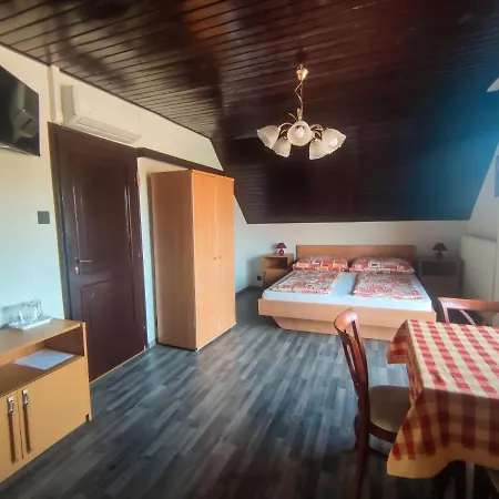 Viktoria Panzio Guest house