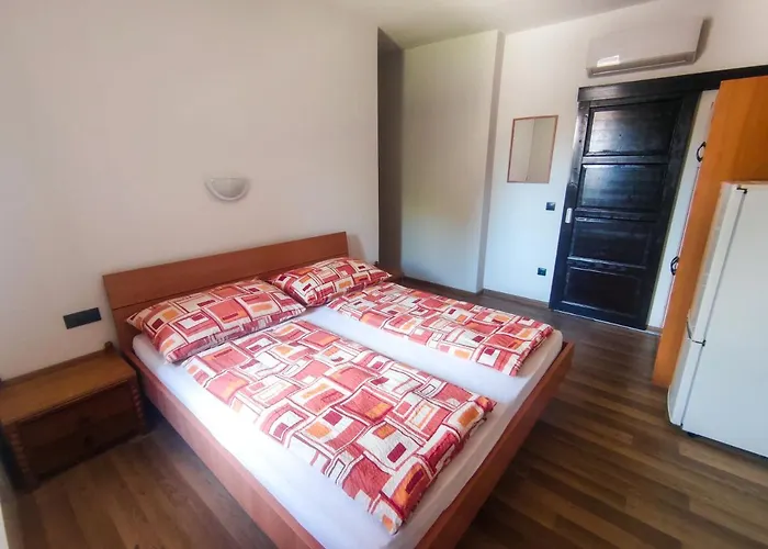 Pensjonat Viktoria Panzio 3*