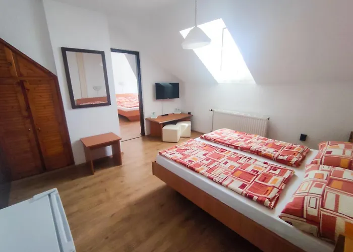 Pensjonat Viktoria Panzio 3*